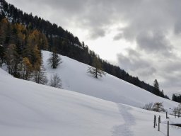 schneeschuhsachenberg007