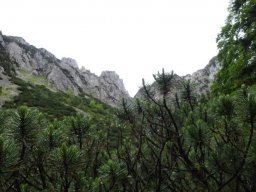 hendlberg004
