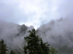 hendlberg006