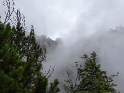 hendlberg007