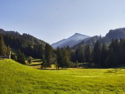 kranzhorn001