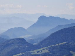 kranzhorn005