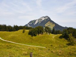 kranzhorn009
