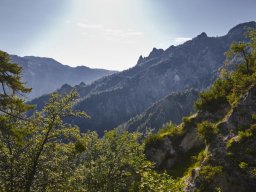 lattenbergstoa005