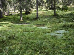 mordau005