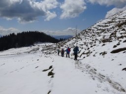 erlberg008