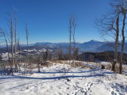 kolomannsberg007