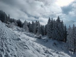 vorderkaiserfeldenhuette002