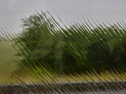 ww_t1_montag006