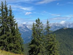 hochgruendeck007