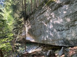 ladenbergbergalm008