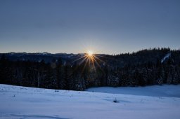 mondscheinwanderung2026008