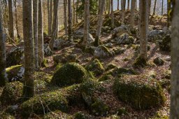 Loferrunde