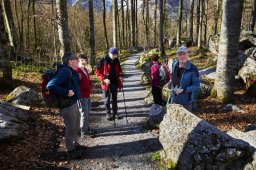 loferrunde005