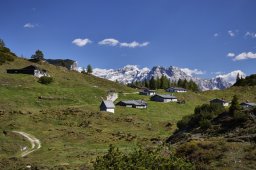 fellhorn010