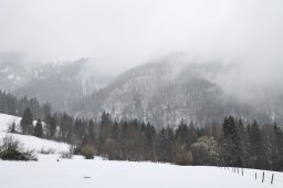 Rund um den Harauer Sattel