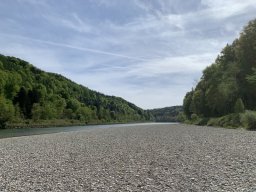 pritzl008